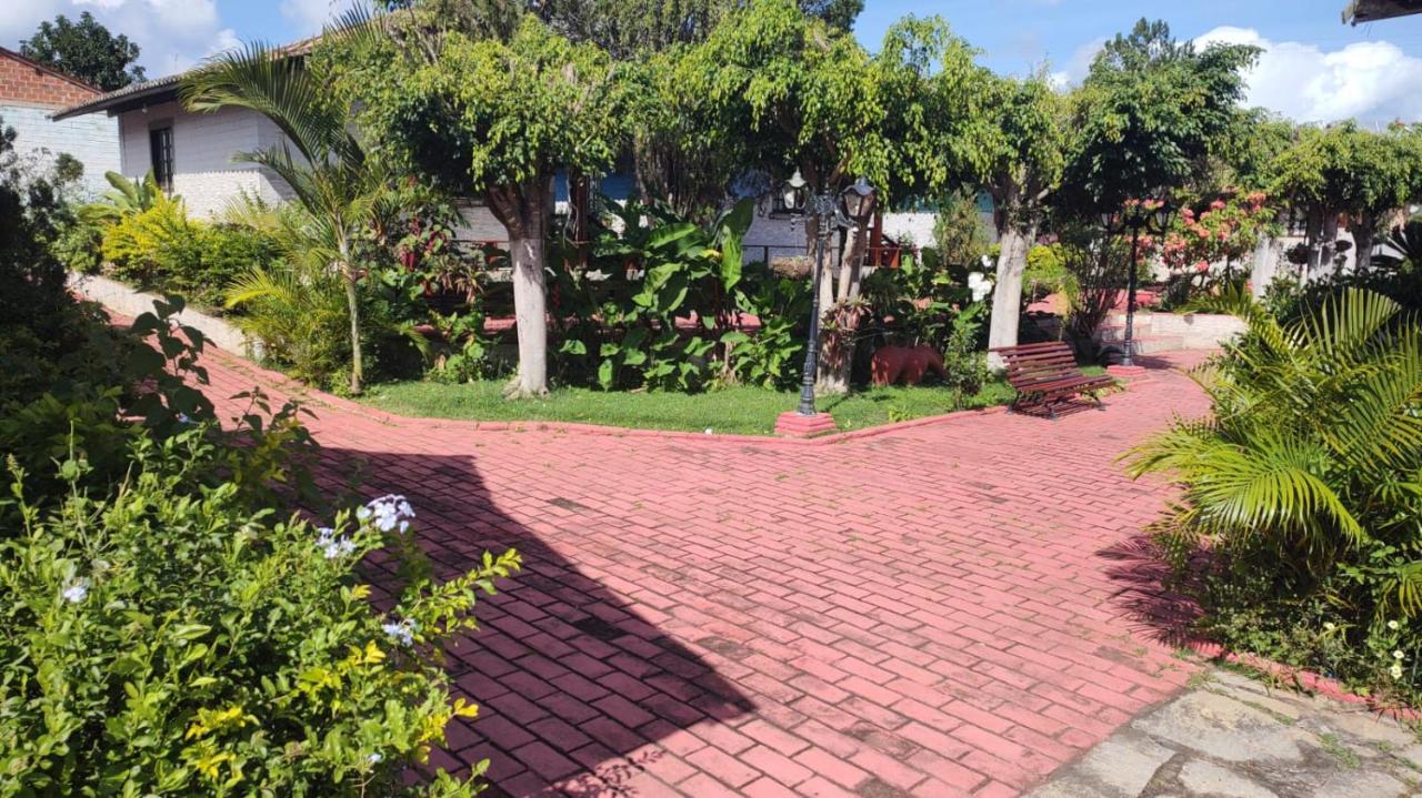 Guest house Maison Delfino Flat *