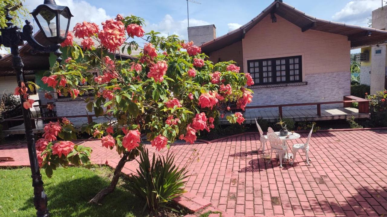 Maison Delfino Flat Guest house Gravata (Gravata, Pernambuco)